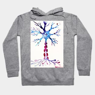 Neuron With Myelin Sheath Hoodie